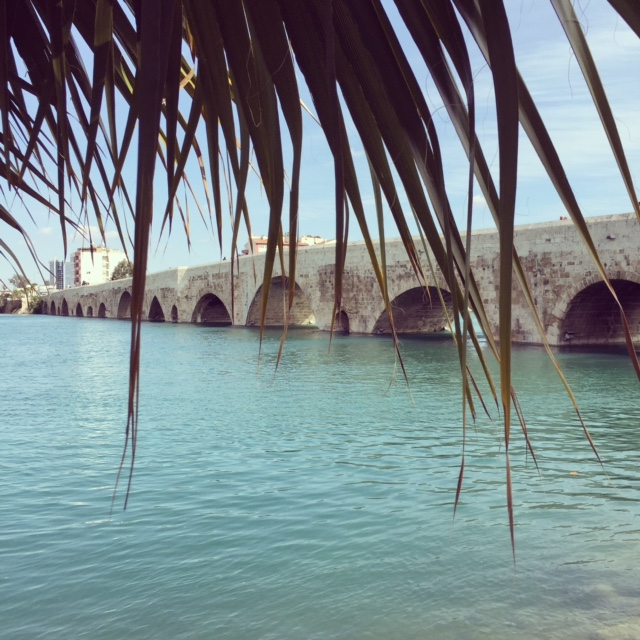 Taş Köprü Adana