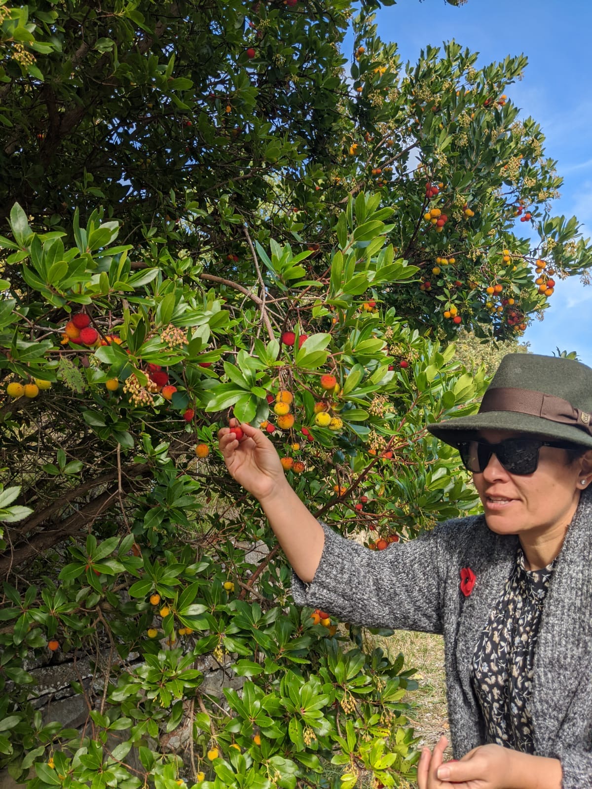 Zehra Greve in Chianti