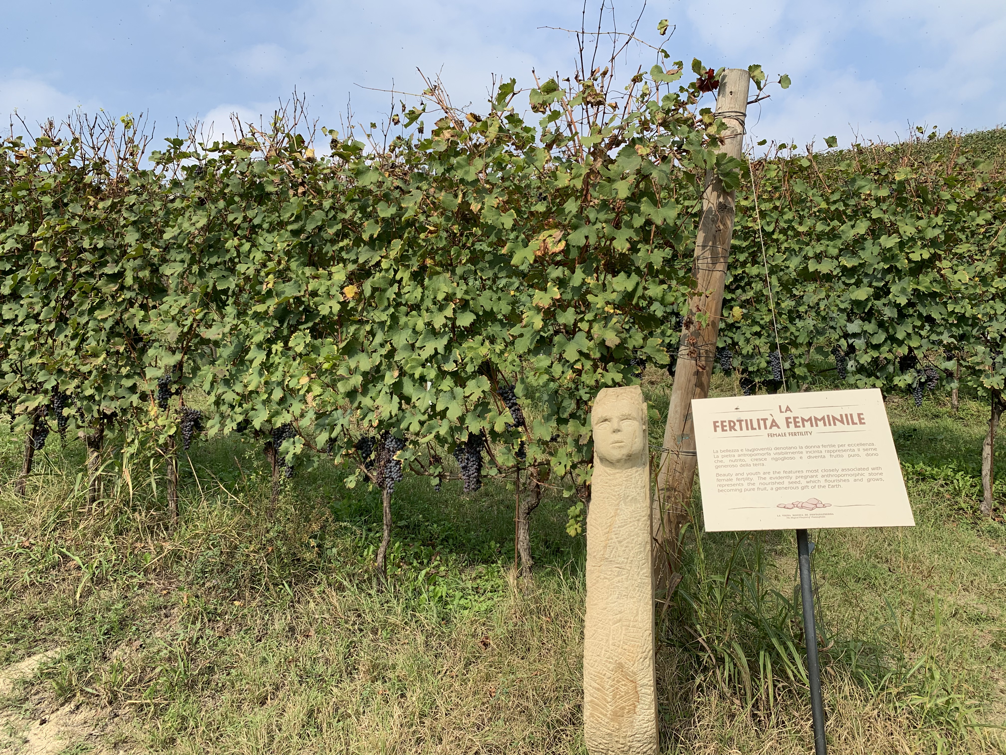 Fontanafredda